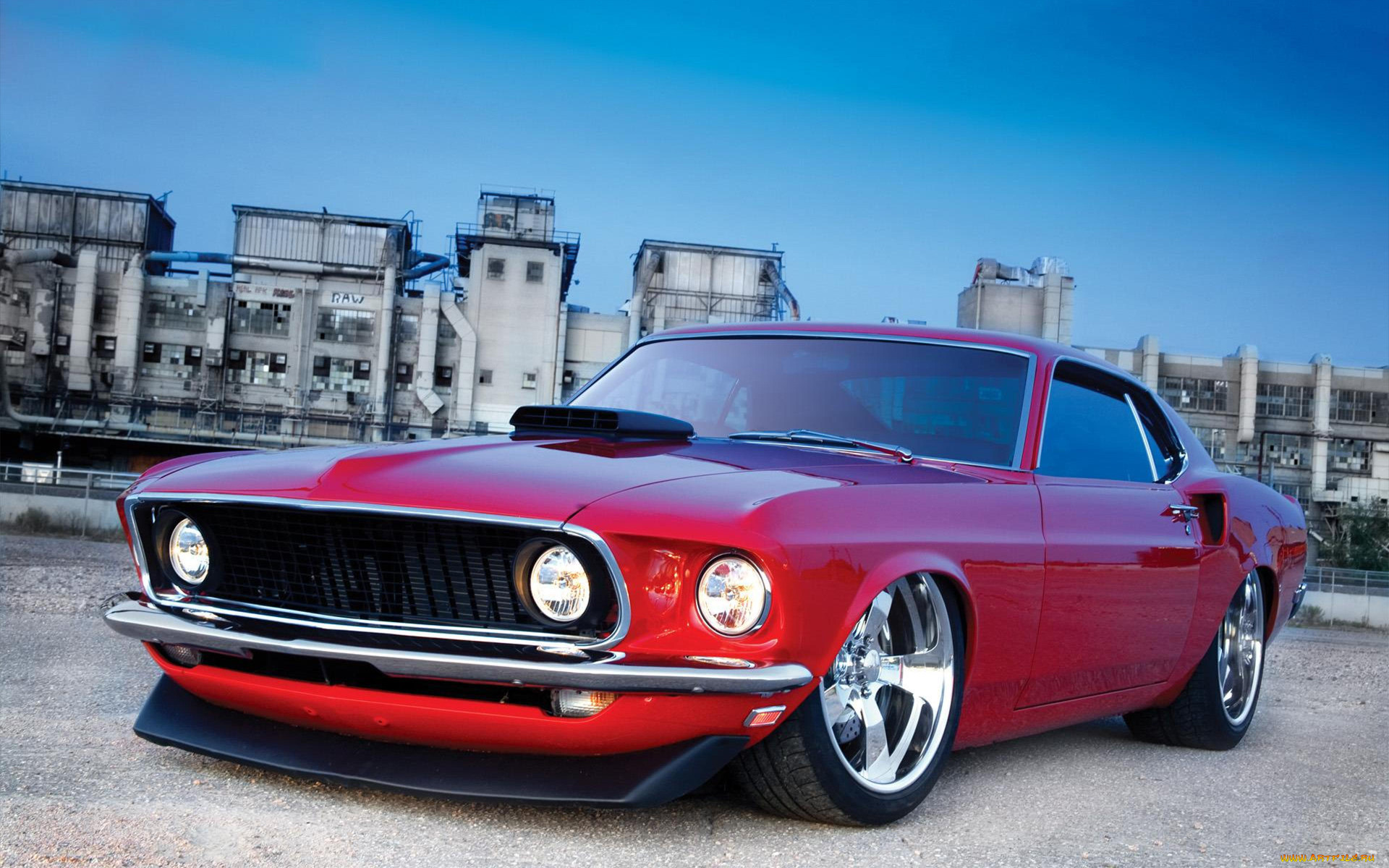 , mustang